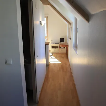Apartment Petite Venise Colmar