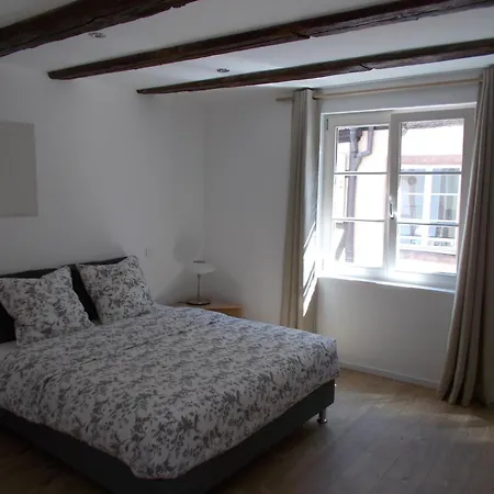 Petite Venise Apartment Colmar